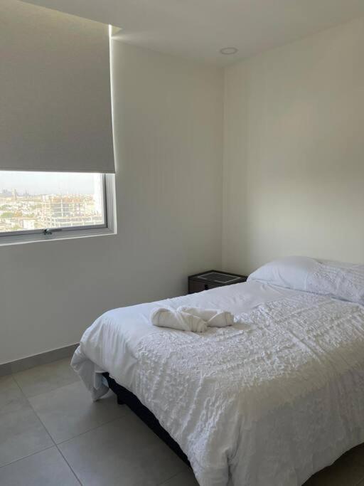 Estilo Y Comodidad En Monterrey Apartman Kültér fotó